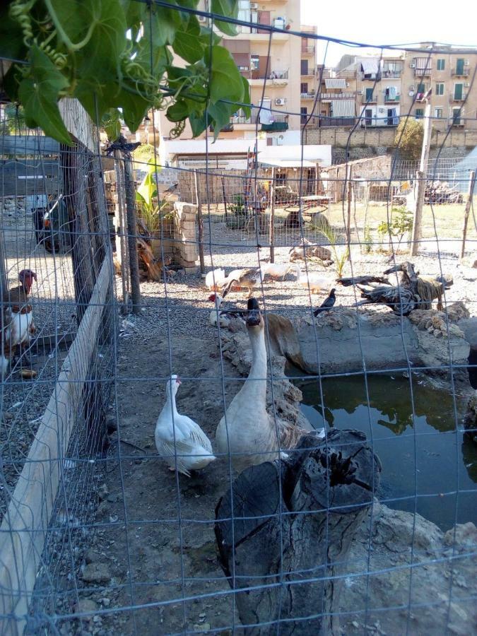 Casa Porta Nuova Διαμέρισμα Παλέρμο Εξωτερικό φωτογραφία